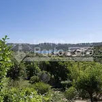 M3a - Rosmarino Porto Mannu *